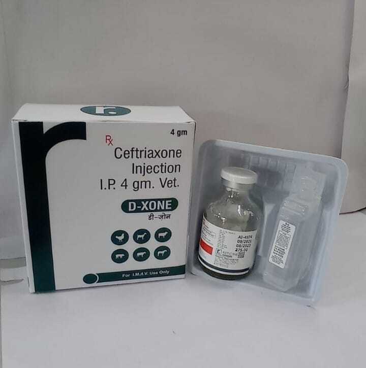 Ceftizoxime Injection