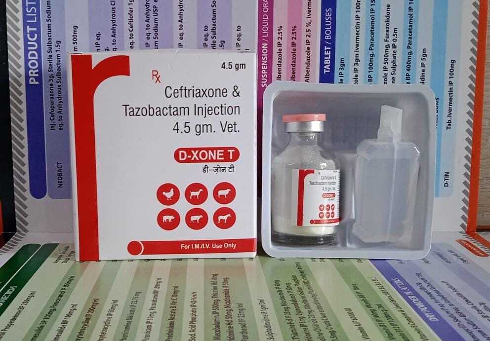 Ceftizoxime Injection