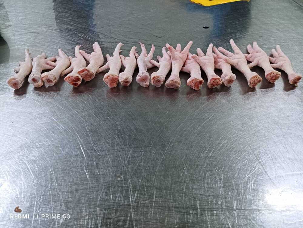 Frozen Chicken Feet for export