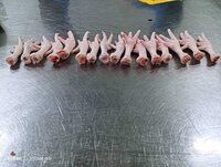 Frozen Chicken Feet for export