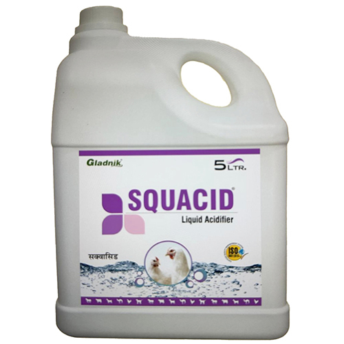 5Ltr Squacid Liquid Acidifier - Efficacy: Promote Growth