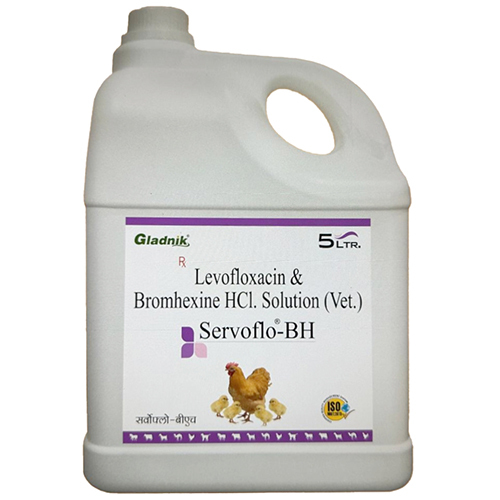 5ltr Servoflo-BH