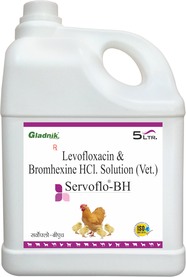 5ltr Servoflo-BH