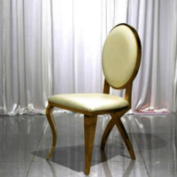 Premium Modern Stainless Steel Dining Chair