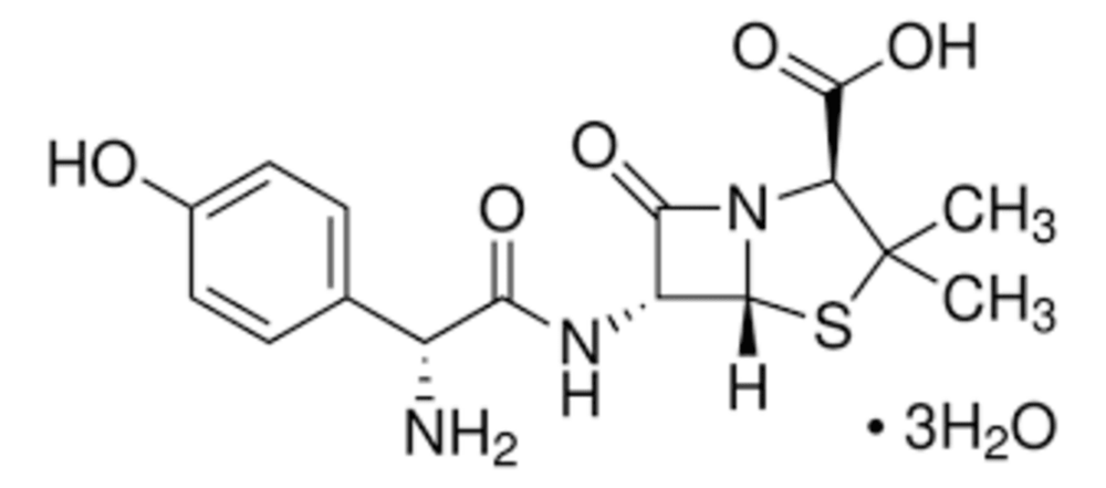 AMOXICILLIN TRIHYDRATE API ग्रेड