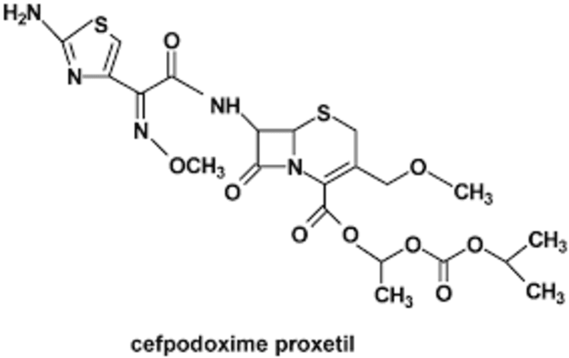 Cefpodoxime Proxetil Api Grade - Application: Pharmaceutical Industry