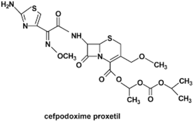 CEFPODOXIME PROXETIL API GRADE