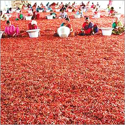 सुखी लाल मिर्च