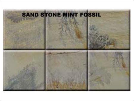 मिंट फॉसिल