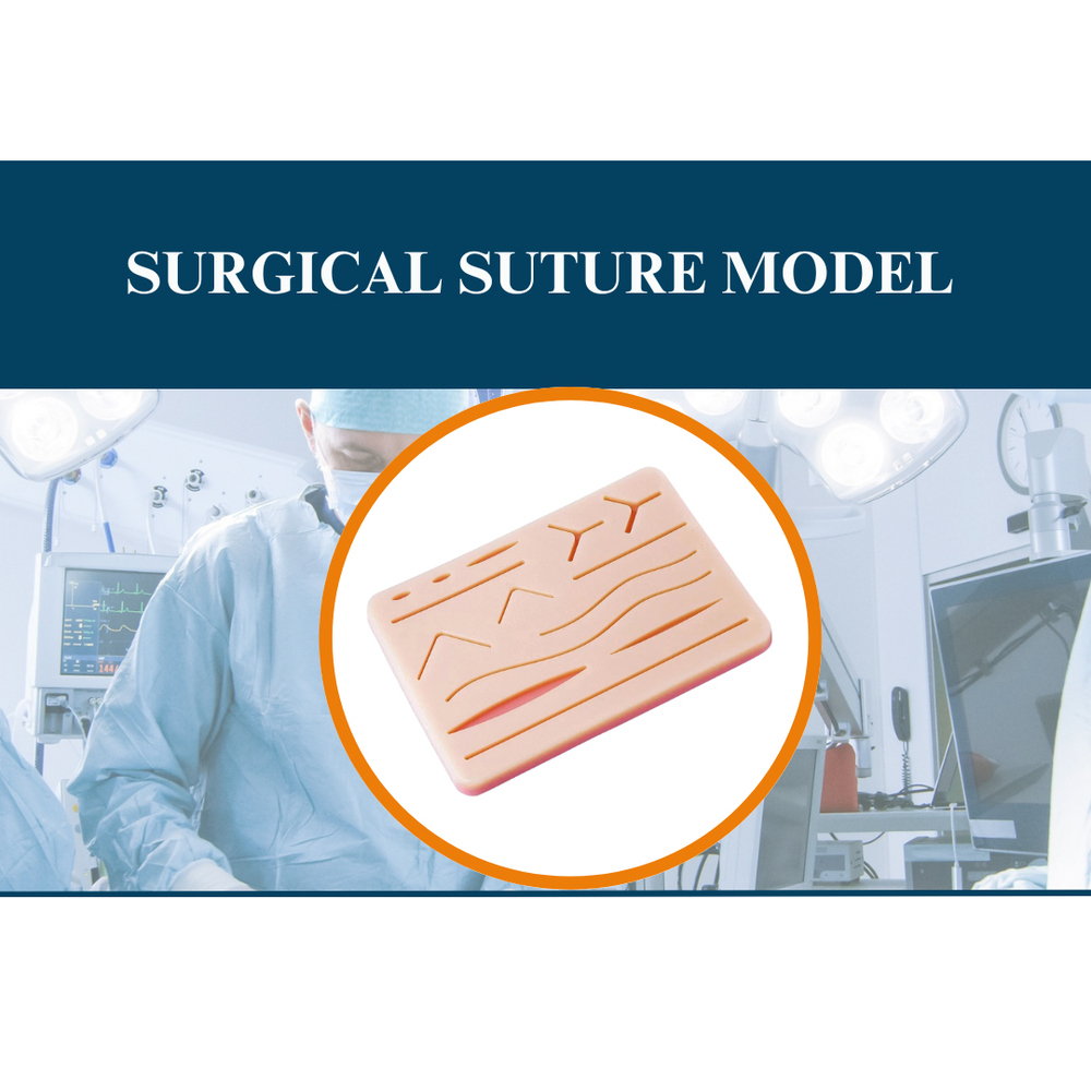 Surgical Suture Model - Application: Medical Student Training