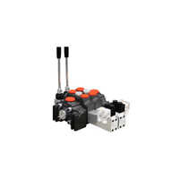 Electronic Sectional Valve - Color: Black
