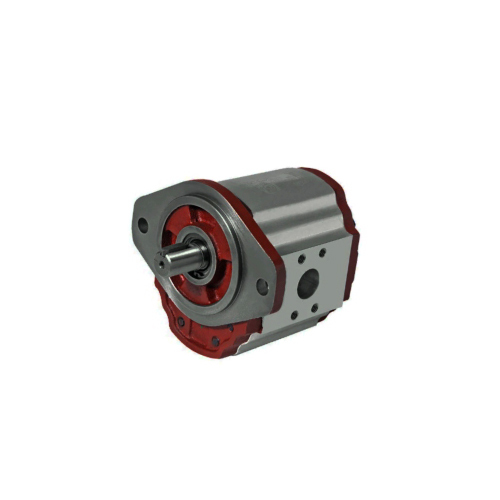 2P-8050 Hydraulic Gear Pump - Color: Any Color