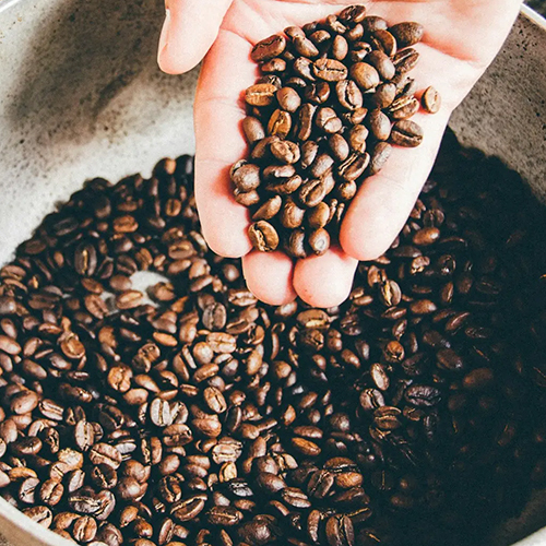 Brown Coffee Beans - Grade: Food Grade
