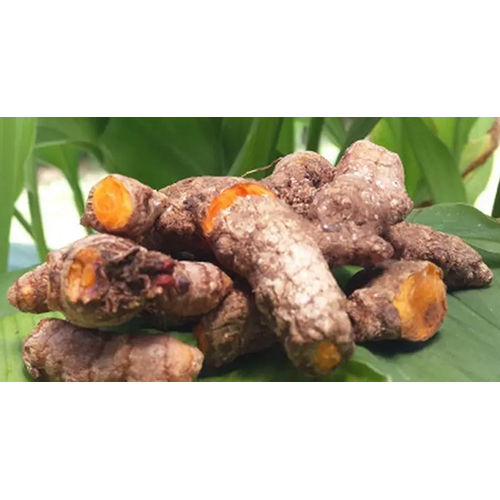 Fresh Turmeric Finger - Color: Brown