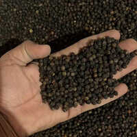 Raw Black Pepper