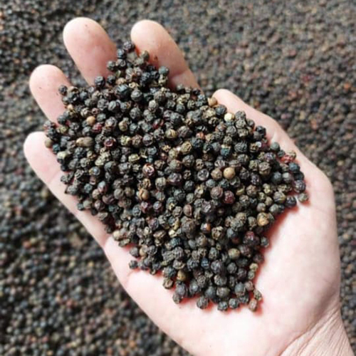 Whole Black Pepper - Grade: Food Grade