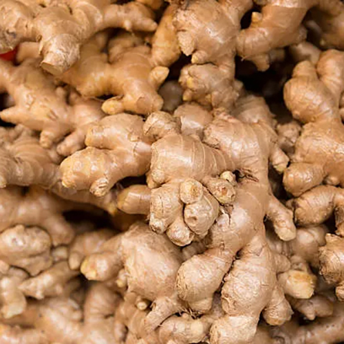 Fresh Pure Ginger - Moisture (%): 10%