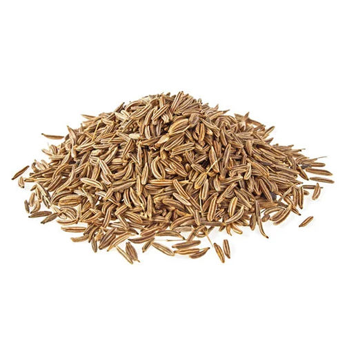 Natural Cumin - Product Type: Fresh