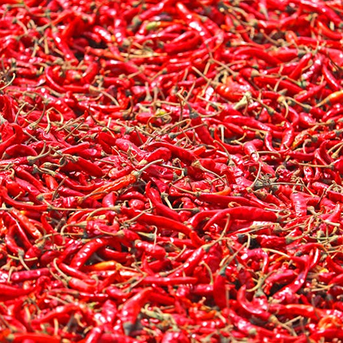 Natural Red Chilli - Product Type: Fresh