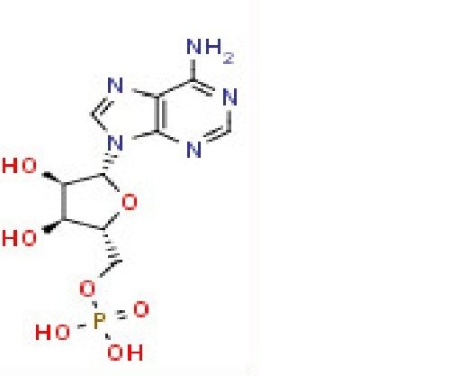 Adenosine 5'-monophosphate