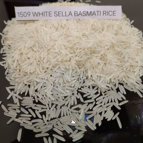 1509 White Seela Basmati Rice