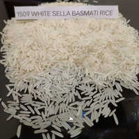 1509 White Seela Basmati Rice