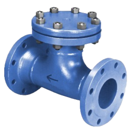 Heavy Duty T Type Strainer