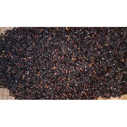 Black Rice (Chak Hao) - Cultivation Type: Common