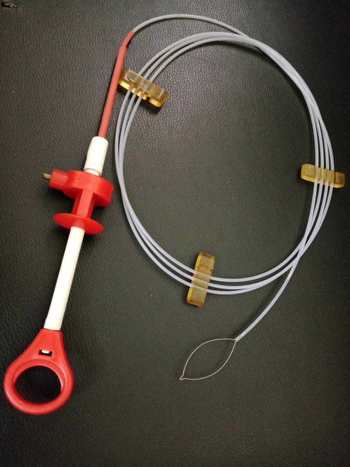 Endoscopic Polypectomy Snare  Gastric Endoscopy Polypectomy Snarewith Loop - Automation Grade: No
