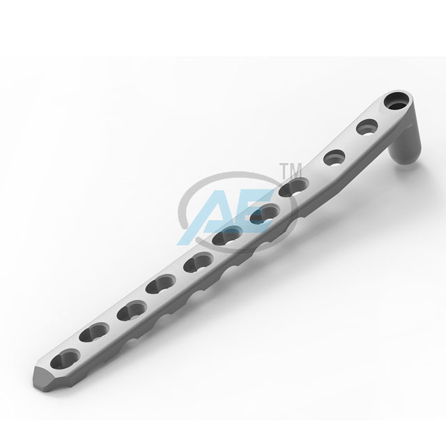 Dcs Plate Stainless Steel - Feature: Antia Rotation Flats