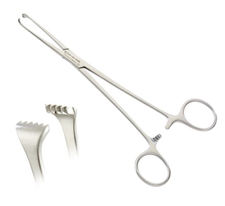 Tissue Adair Allis Forceps - Stainless Steel, 6" Length With 9x10 Teeth , Secure Grip For Precise Tissue Handling In Surgical Procedures