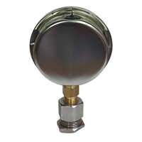 2.5 Inch Dial Bottom Non-Ferrous Pressure Gauge