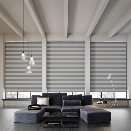 Window Zebra Blinds