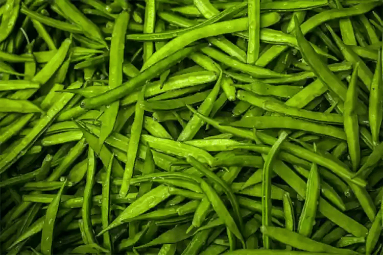 Fresh Cluster Beans 