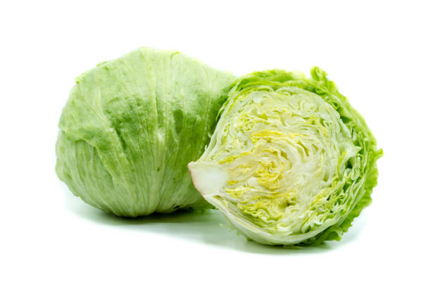 Fresh Iceberg Lettuce