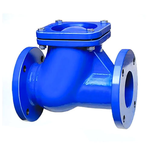 Cast Iron Non Return Valve