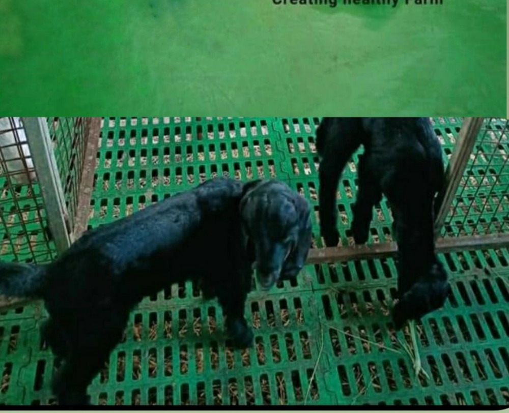Slat Rubber Mats