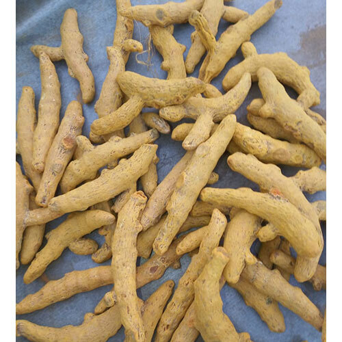 Salem turmeric finger