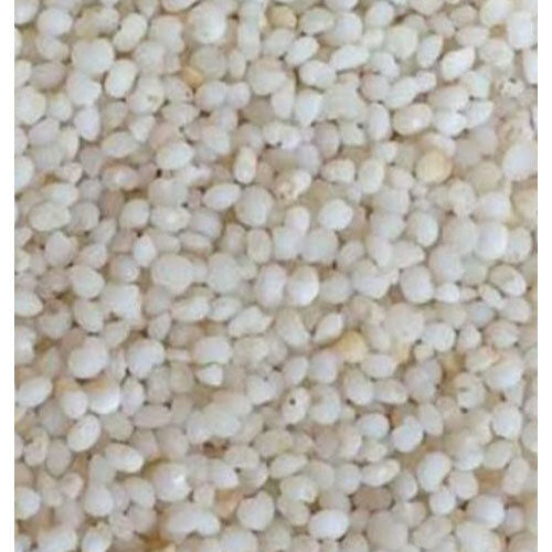 Kodo Millet (Varagu Arisi) - Grade: Food Grade