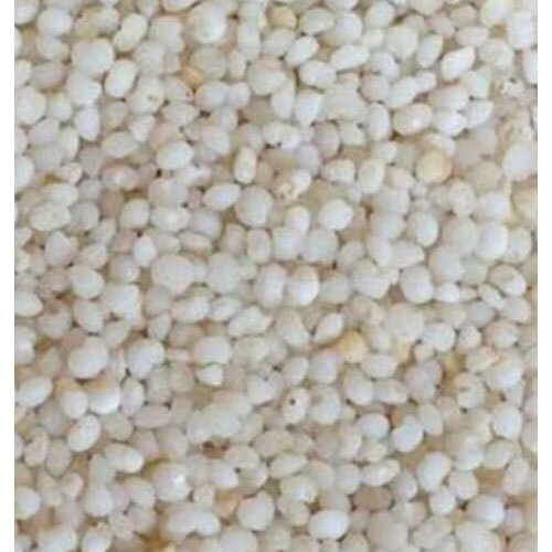 Kodo millet (varagu arisi)
