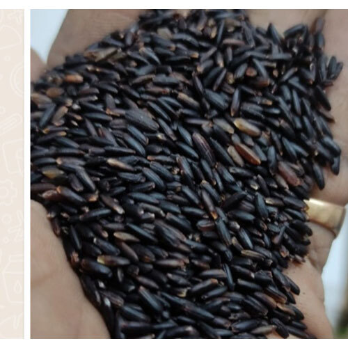Karuppu kavuni rice