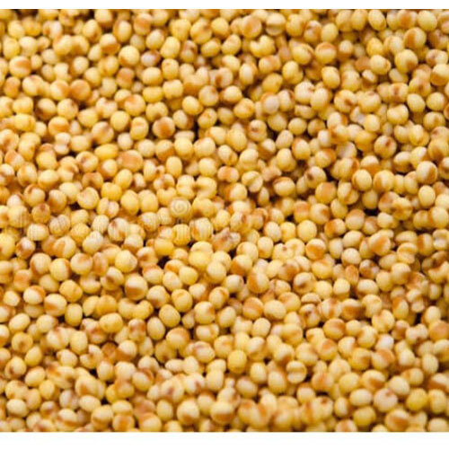 Foxtail (Thinai)