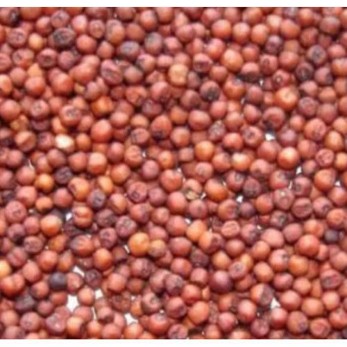 Finger Millet(Ragi) - Grade: Food Grade