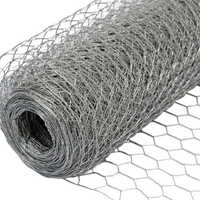 Gi Chicken Wire Mesh