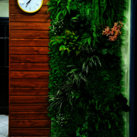 Outdoor Artifical Vertical Garden