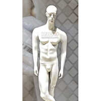 Male Mannequin with Head
