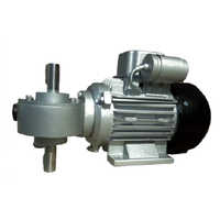 Electric Gear Motor