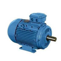 Kirloskar Electric Motor - Color: Blue
