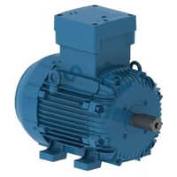 Flame Proof Motors