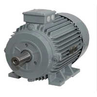 Three Phase Ac Induction Motor